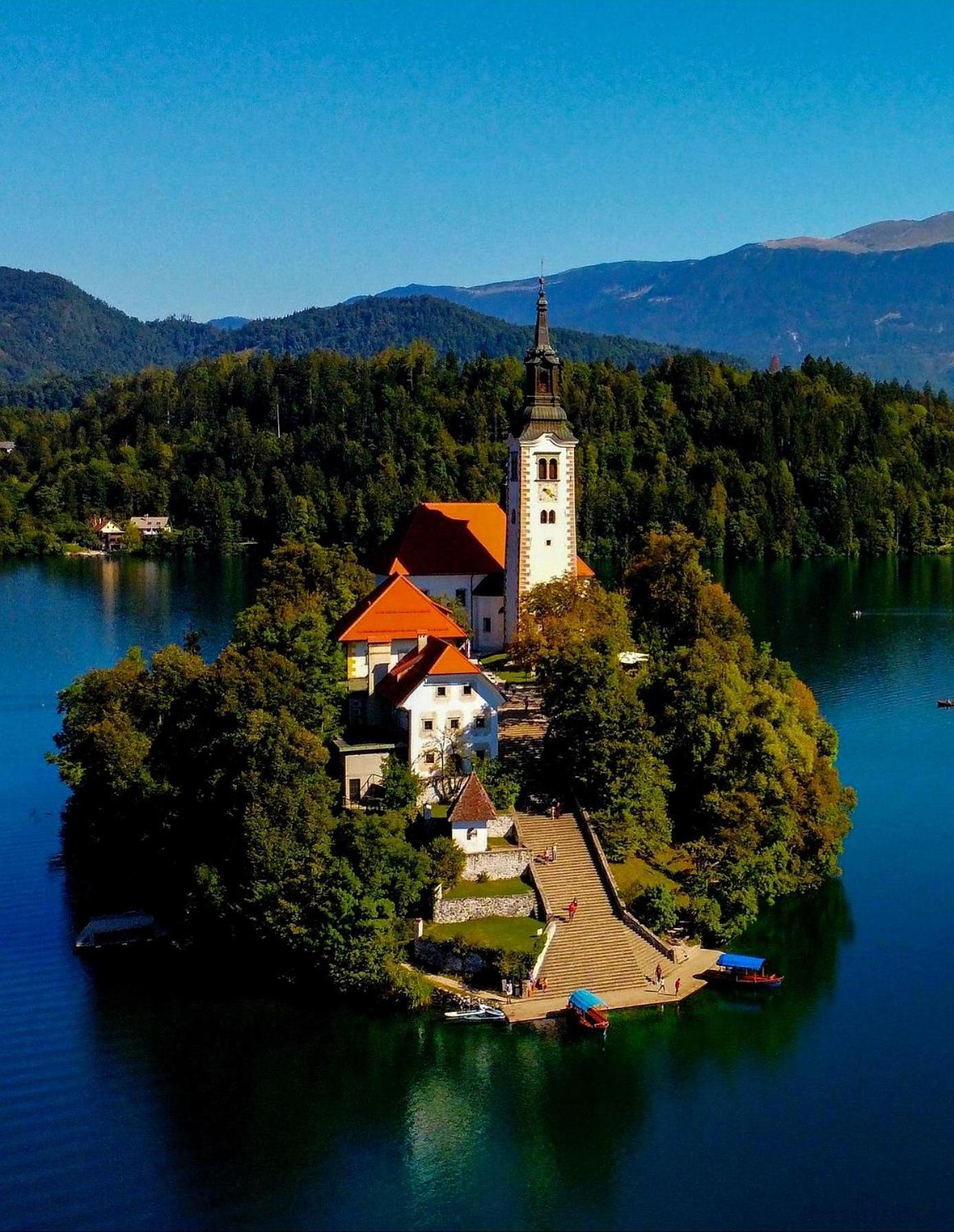Green House Bled Exteriör bild
